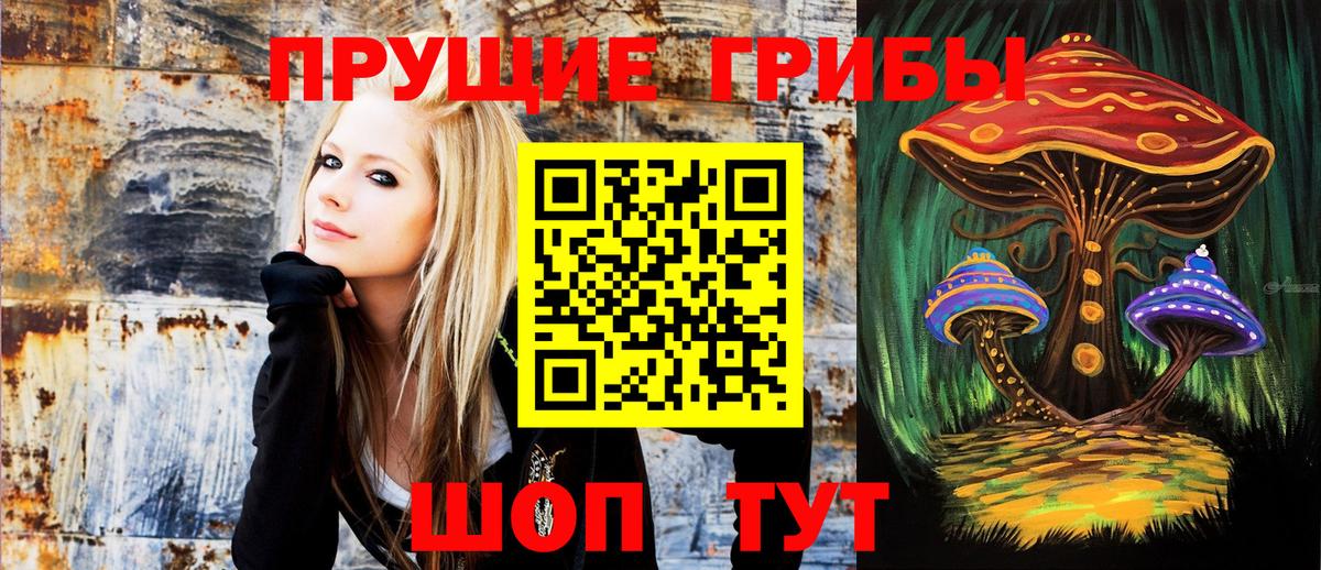 Гуково  Галлюциногенные грибы Cubensis  Вход с VPN 